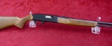 Winchester Model 190 22 cal Rifle