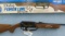 Daisy Powerline 22 cal Air Rifle & box