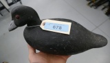 Dallas Valley Coot Decoy