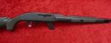 Remington Apache 77 Nylon 22 Rifle