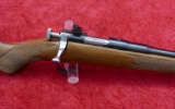 Rouge Rifle Co Chipmunk Youth Gun