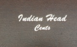 Indian Head Penny Book