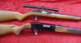 Pair of 22 cal Rifles