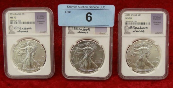 3 - 2014 MS70 Elizabeth Jones Silver Eagle Coins