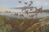 Owen Gromme Swan, Crane, Pigeon Prints