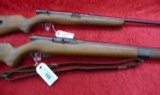 Pair of Semi Auto 22 Rifles (DEW)