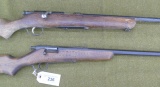Pair of Rough 22 cal Rifles