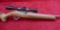 SS Ruger 10-22 Rifle w/scope