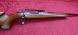 Custom 22-250 Bolt Action Rifle