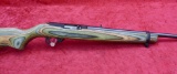 Ruger 10-22 Michigan Issue w/Laminate stock
