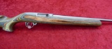 Ruger 10-22 w/Laminate Stock