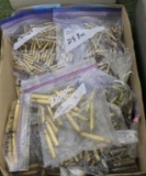 Large lot of Misc Brass: 22 Hornet & 218 BEE