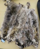 5 Tanned Raccoon Hides