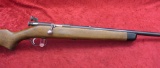 Stevens 22 Magnum Bolt Action Rifle