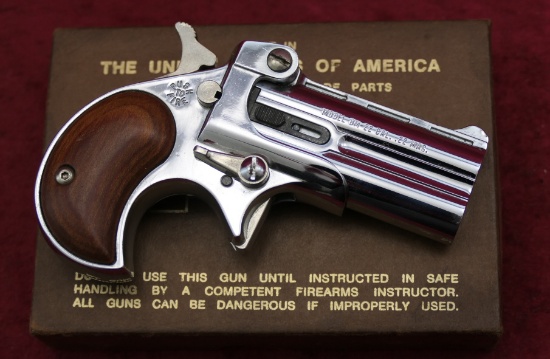 Davis Industries 22 Mag Derringer