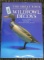 Hard Cover Great Book of Wild Foul Decoys