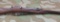 Polish M44 Mosin Nagant Carbine