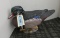 DU Wood Duck Decoy