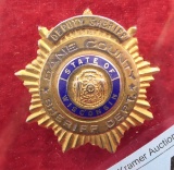 Early Dane County Sheriff Dept Badge