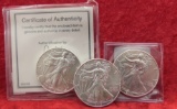 3 US Silver Flying Eagle Coins