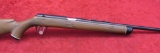 Daisy 22 cal VL Caseless Rifle