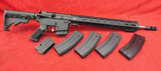 APF AR in 224 Valkyrie