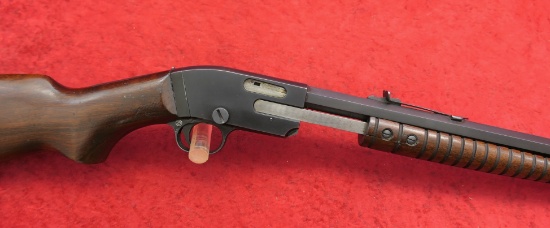 Savage Model 25 22 cal Pump Rifle