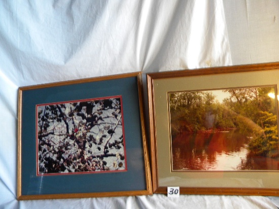 Pair, Scenic Views, Matted, Wood Frames, 15"h X 12 1/2"w.