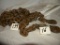 Heavy Duty 16' Log Chain W/hooks