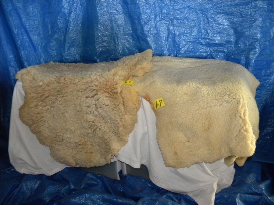 Pair Of Sheep Skins, 26" X 38 ".