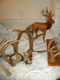 Pair Of Deer And Elk; Cap Hanger W/deer Horns.