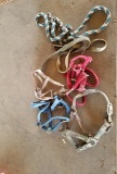 (4) Assorted Size Halters & (2) Lead Ropes