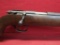 Remington The Targetmaster 510 .22 S,L,LR Bolt