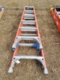 (1) 8ft & (1) 6ft Fiberglass Ladders