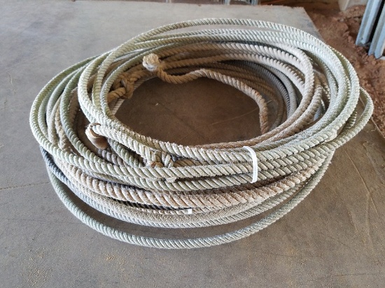 (4) Lasso Ropes