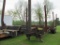 2005 40' Pitts Bunk Trailer LP40-4UL