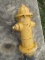 Fire Hydrant
