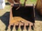 Excavator bucket 36
