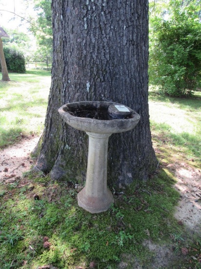 Bird bath