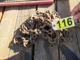 21' Chain w/hooks