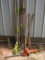 Lot of assorted yard tools