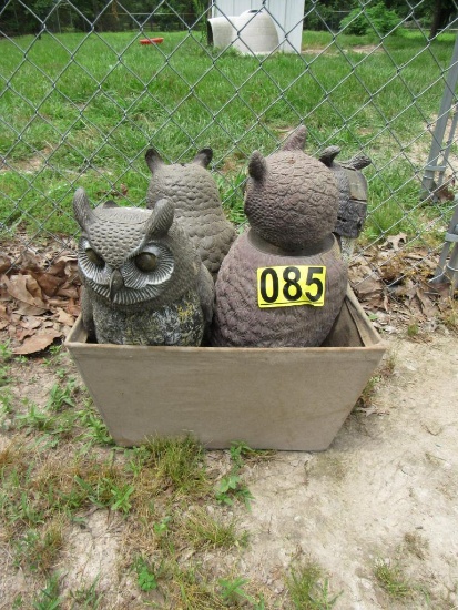Owl decoys