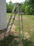 6' aluminum step ladder