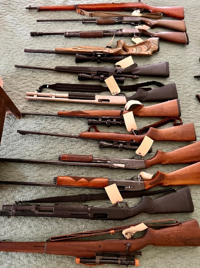 Gun Collection Auction