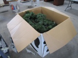 Box of garland (lighted)