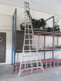 14' Aluminum Orchard Ladder
