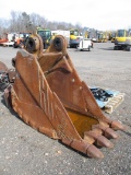 Caterpillar 36
