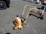 Ransome Leaf Blower