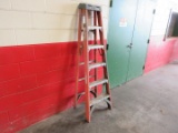 WERNER 6' FIBERGLASS STEPLADDER