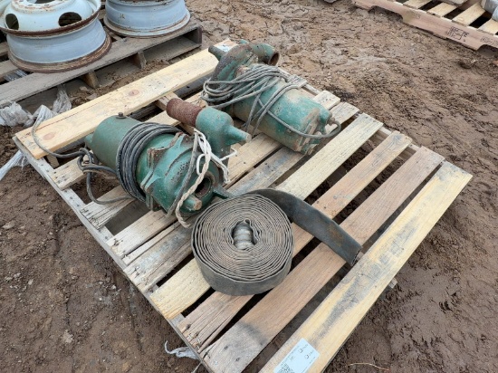 (2) Submersible Pumps